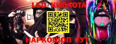 стаф Владимир