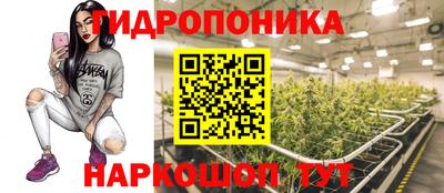 стаф Владимир