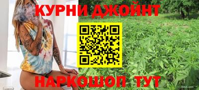 стаф Владимир