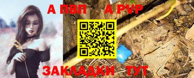 стаф Владимир