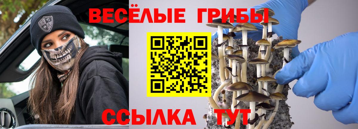 Псилоцибиновые грибы MAGIC MUSHROOMS  Вход с VPN  Димитровград  Псилоцибиновые грибы MAGIC MUSHROOMS 